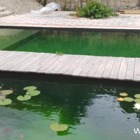 Gite Les Cabanes De Fallot Pour 15 Personnes - Piscine Naturelle L'isle-Bouzon Εξωτερικό φωτογραφία