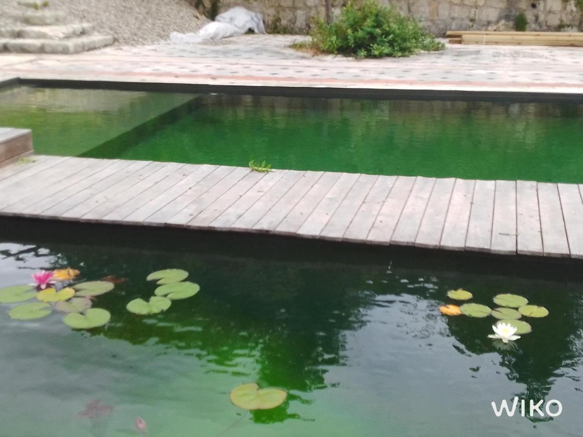 Gite Les Cabanes De Fallot Pour 15 Personnes - Piscine Naturelle L'isle-Bouzon Εξωτερικό φωτογραφία