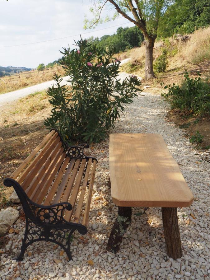 Gite Les Cabanes De Fallot Pour 15 Personnes - Piscine Naturelle L'isle-Bouzon Εξωτερικό φωτογραφία