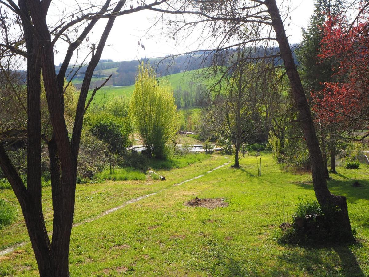 Gite Les Cabanes De Fallot Pour 15 Personnes - Piscine Naturelle L'isle-Bouzon Εξωτερικό φωτογραφία