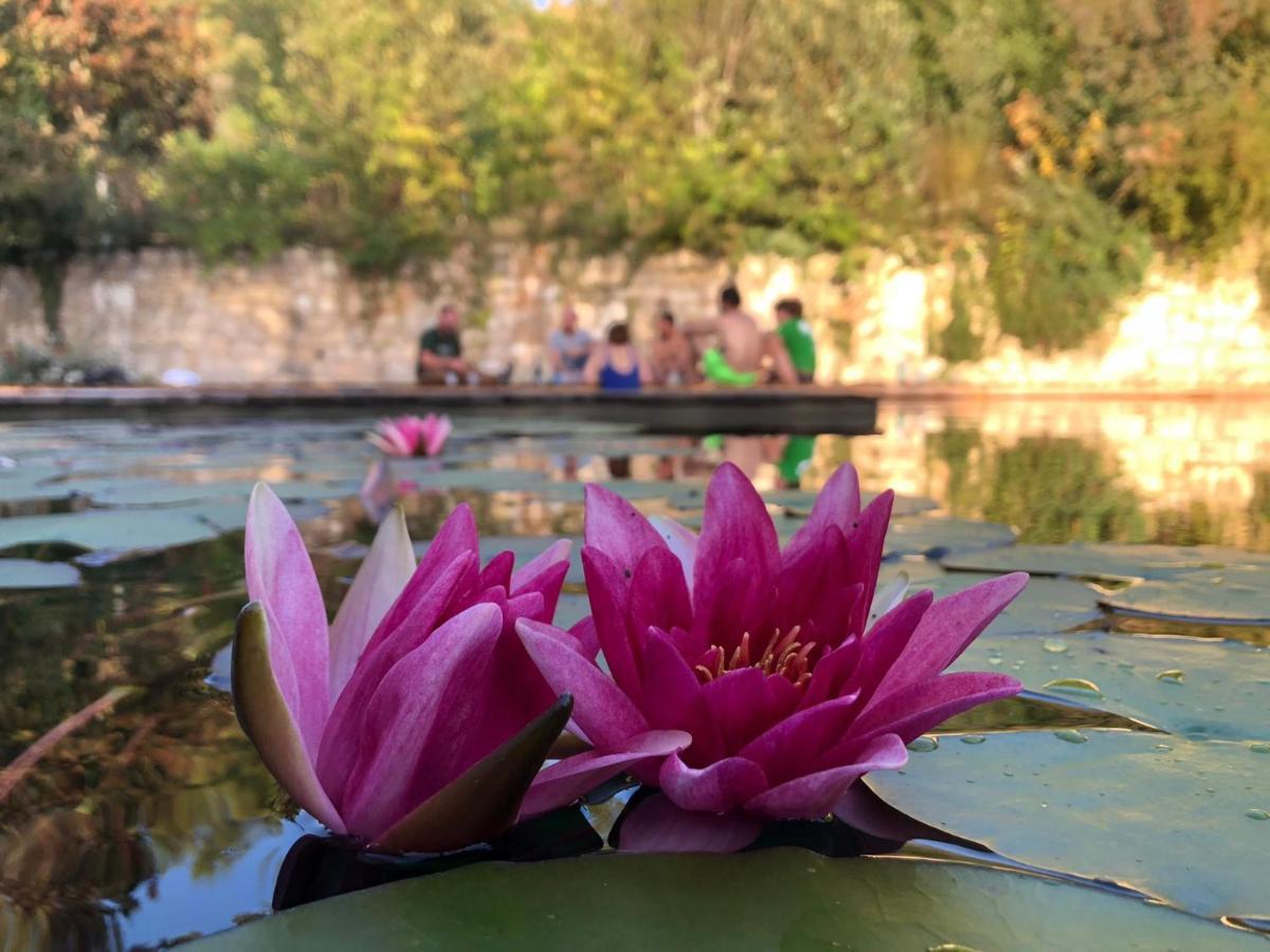 Gite Les Cabanes De Fallot Pour 15 Personnes - Piscine Naturelle L'isle-Bouzon Εξωτερικό φωτογραφία